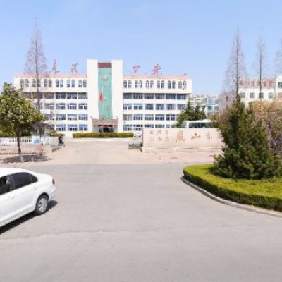 日照市公安局嵐山分局采購創(chuàng)興RDTD19H毛發(fā)毒品檢測儀及試劑